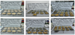 Natural Moisture Content (NMC)