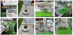 Specific Gravity Test (SG)